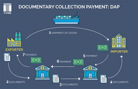 Difference Between Collecting and Transferring Trade.